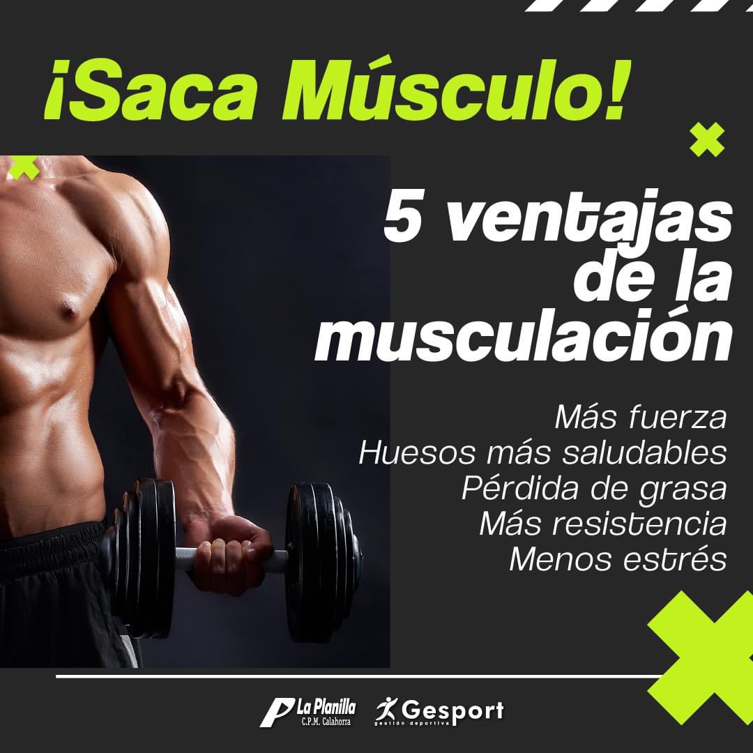 laplanillacpm's tweet photo. ¡Saca músculo! 💪

Ven al gimnasio de La Planilla y disfruta de los beneficios de la musculación. 😉

🔥Más fuerza
🔥Huesos más saludables
🔥Pérdida de grasa
🔥Más resistencia
🔥Menos estrés

#gimnasio #musculación #deporte #pesas #cambiodehabitos #calahorra #laplanilla #gesport https://t.co/W1U3fVw6tm