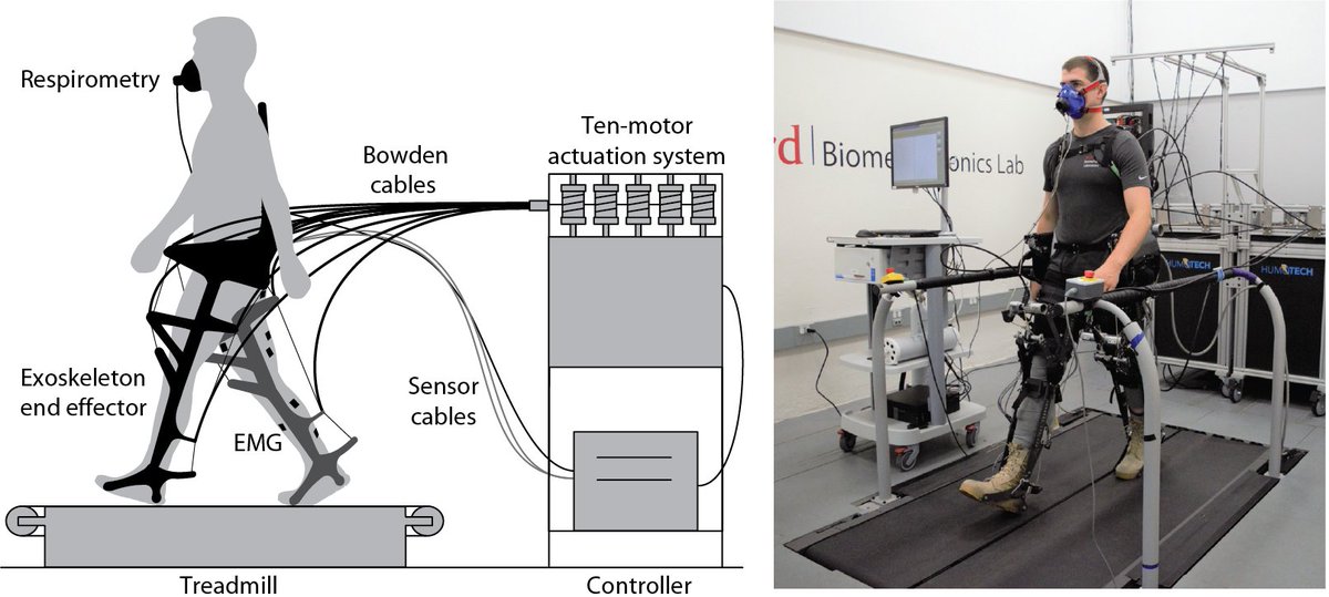 Patrick Franks (@p_franks_) on Twitter photo #OpenAccess paper in Wearable Technologies <a href="/CUP_SciEng/">Cambridge University Press - Science & Engineering</a>! "Comparing optimized exoskeleton assistance of the hip, knee, and ankle in single and multi-joint configurations." …w-cambridge-org.stanford.idm.oclc.org/core/journals/…
Whole-leg assistance reduces metabolic cost of walking by 50% relative to unassisted #OpenAccess paper in Wearable Technologies <a href="/CUP_SciEng/">Cambridge University Press - Science & Engineering</a>! "Comparing optimized exoskeleton assistance of the hip, knee, and ankle in single and multi-joint configurations." …w-cambridge-org.stanford.idm.oclc.org/core/journals/…
Whole-leg assistance reduces metabolic cost of walking by 50% relative to unassisted