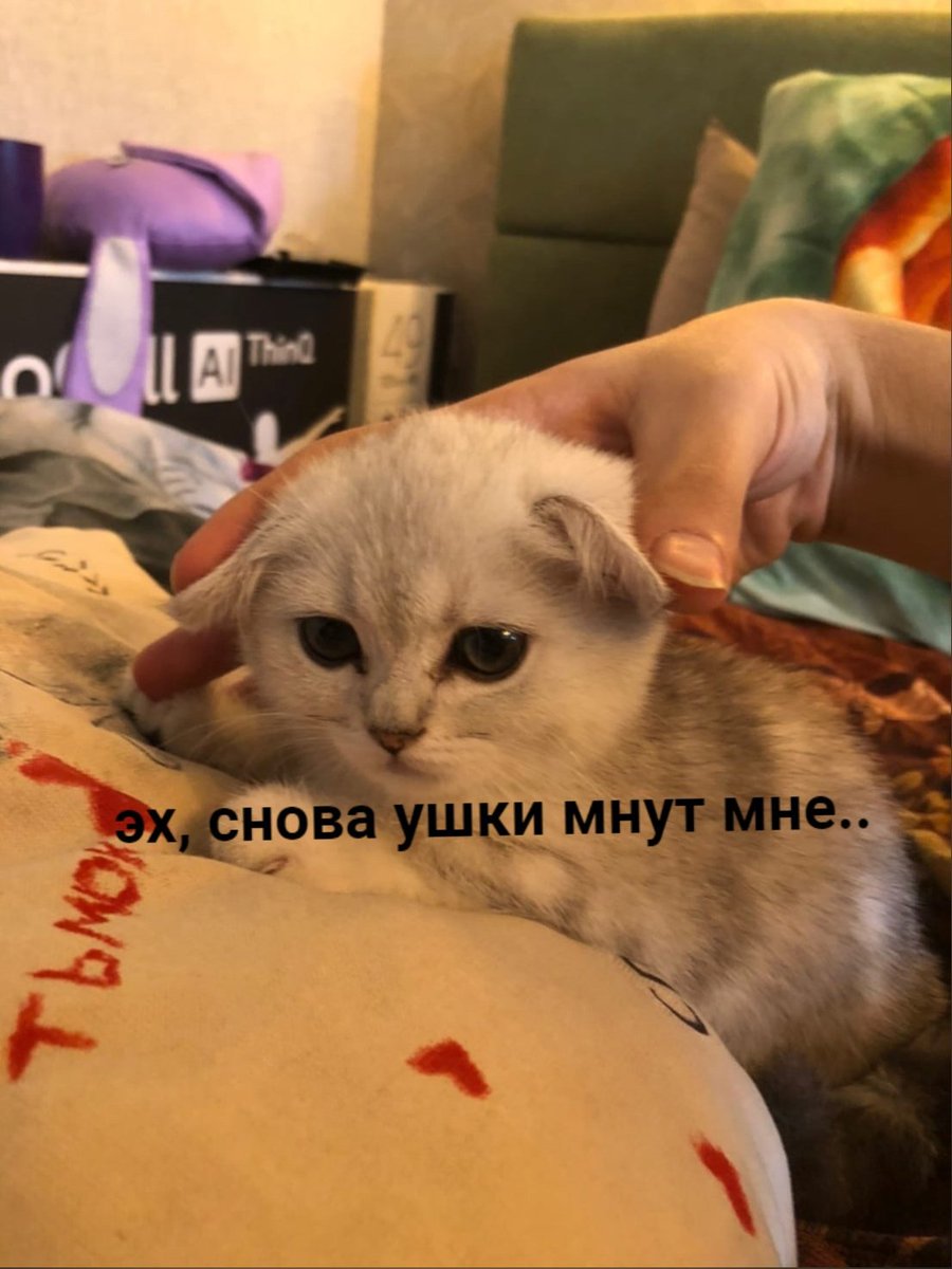 Darkid (@raryboy) on Twitter photo 