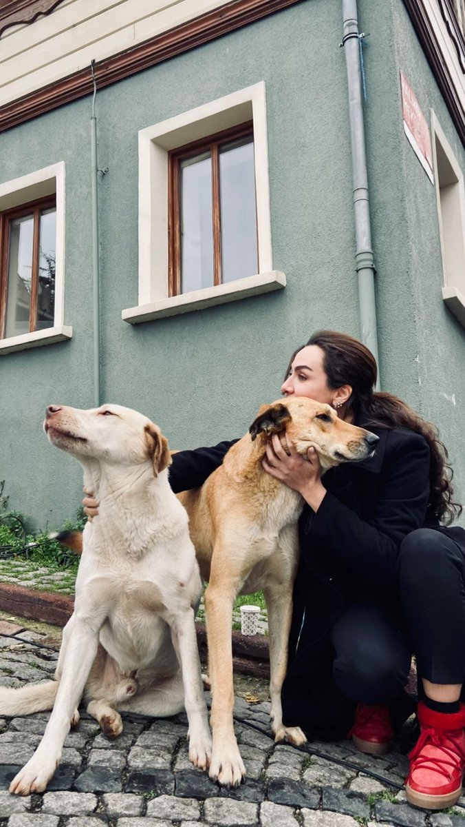biakibce's tweet photo. Birce siempre cariñosa con los animalitos, que ternura 🥰
#BirceAkalay #Önem #mezarlık https://t.co/U4O0Egvva2