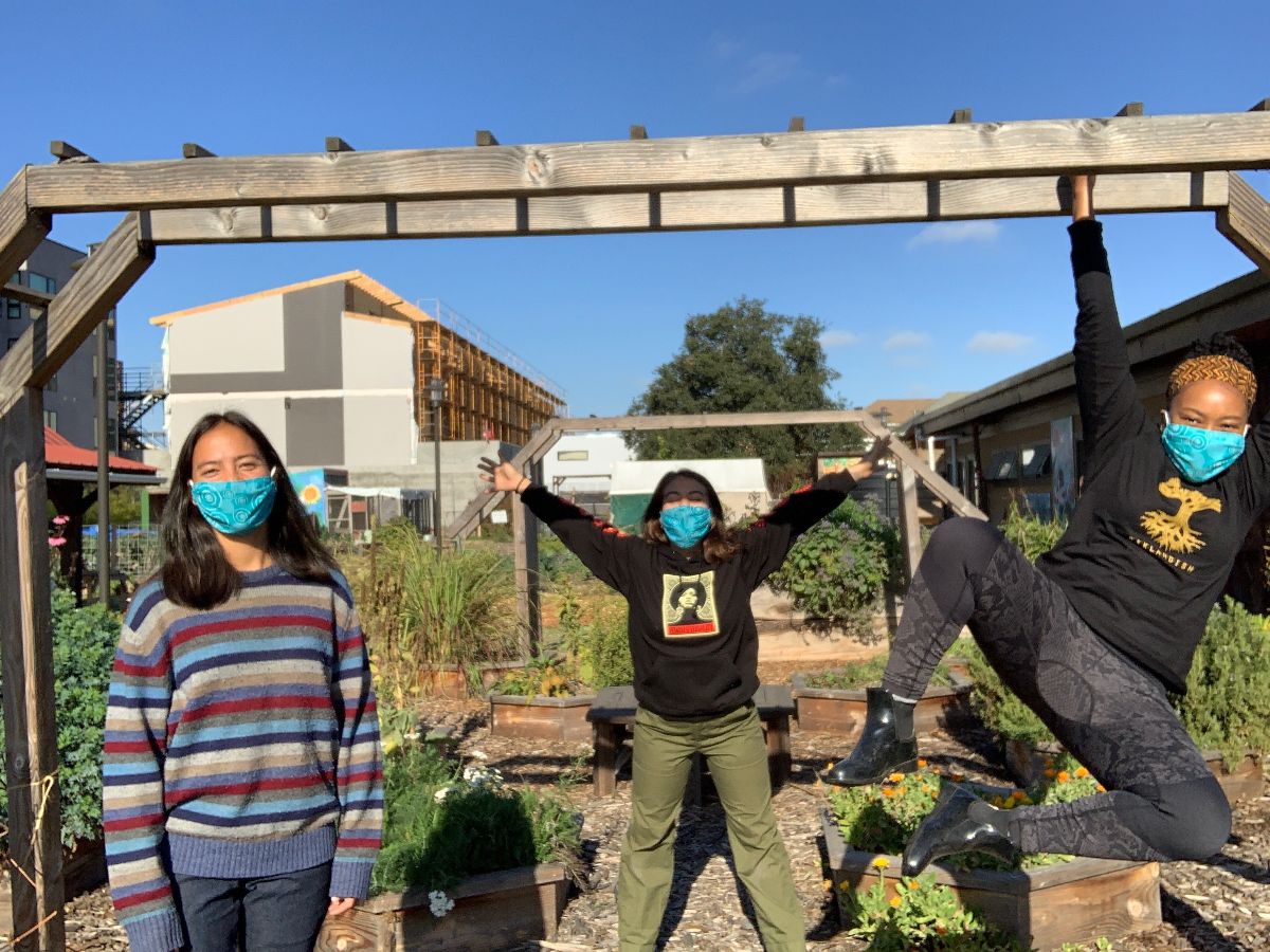 City Slicker Farms tweet media