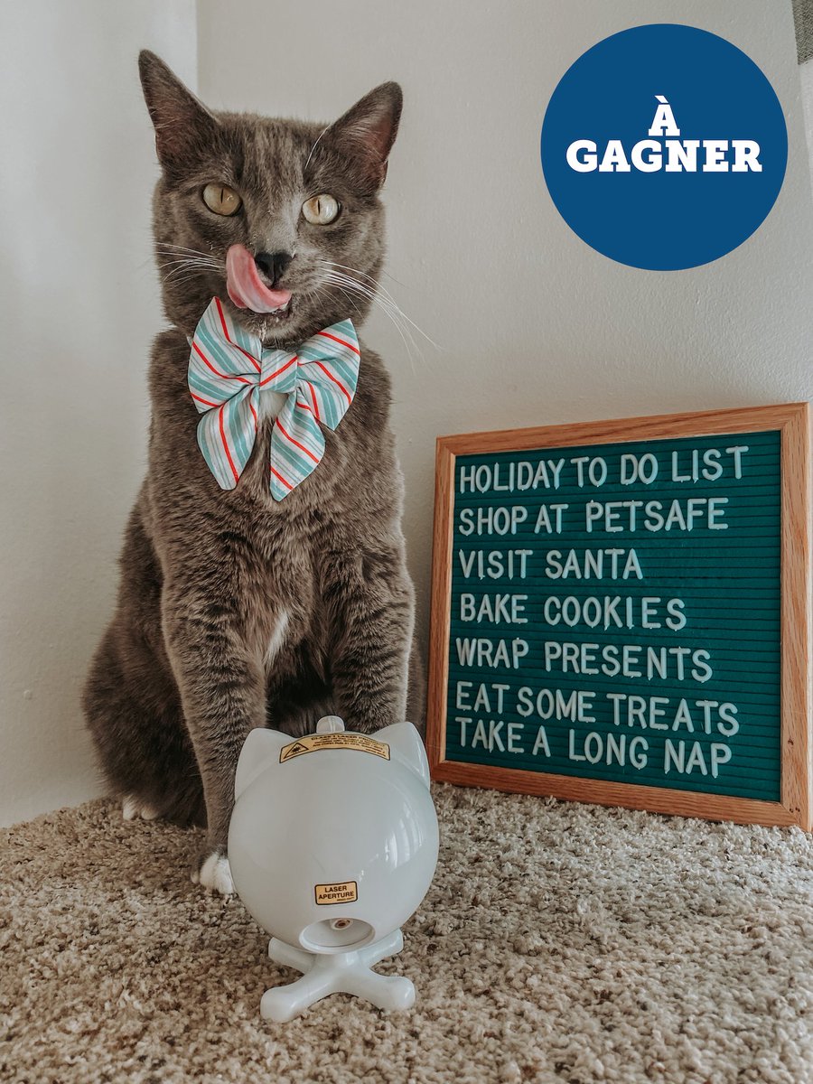 PetSafeFR's tweet photo. Follow &amp; Retweet @PetSafeFR ! 🎅Nos lutins sont en avance pour Noël ! Tentez votre chance pour remporter un 🎁supplémentaire à glisser sous le 🎄, notre jouet Dancing Dot™ 😻TAS le 13/12/2021  *Concours Réservé à la 🇫🇷 et à la 🇧🇪 https://t.co/LTUgtFbHFf