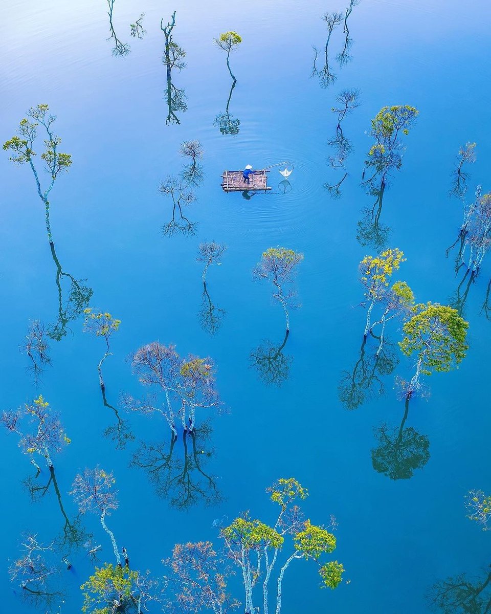 Discover Earth tweet media