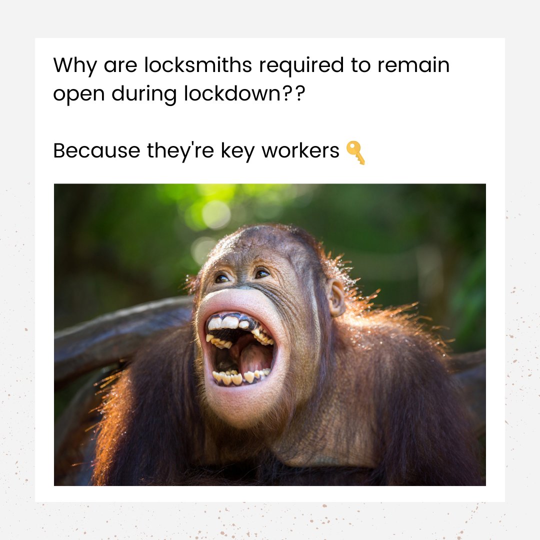 RapidKey's tweet photo. A little humor for humpday! 🐪 

#locksmith #keyrecovery #keyreplacement https://t.co/EdaVEF9LkS