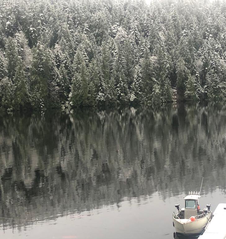 FinnBayLodge's tweet photo. A peek into the Inlet during winter. 🥶 But don’t worry! The 2022 fishing season will have the perfect weather to complement your incredible experience! Website link in bio. 🎣 

#fishing #sportfishing #salmonfishing #britishcolumbia #riversinlet #lodge #fishingseason https://t.co/ZG2AkXL8M1