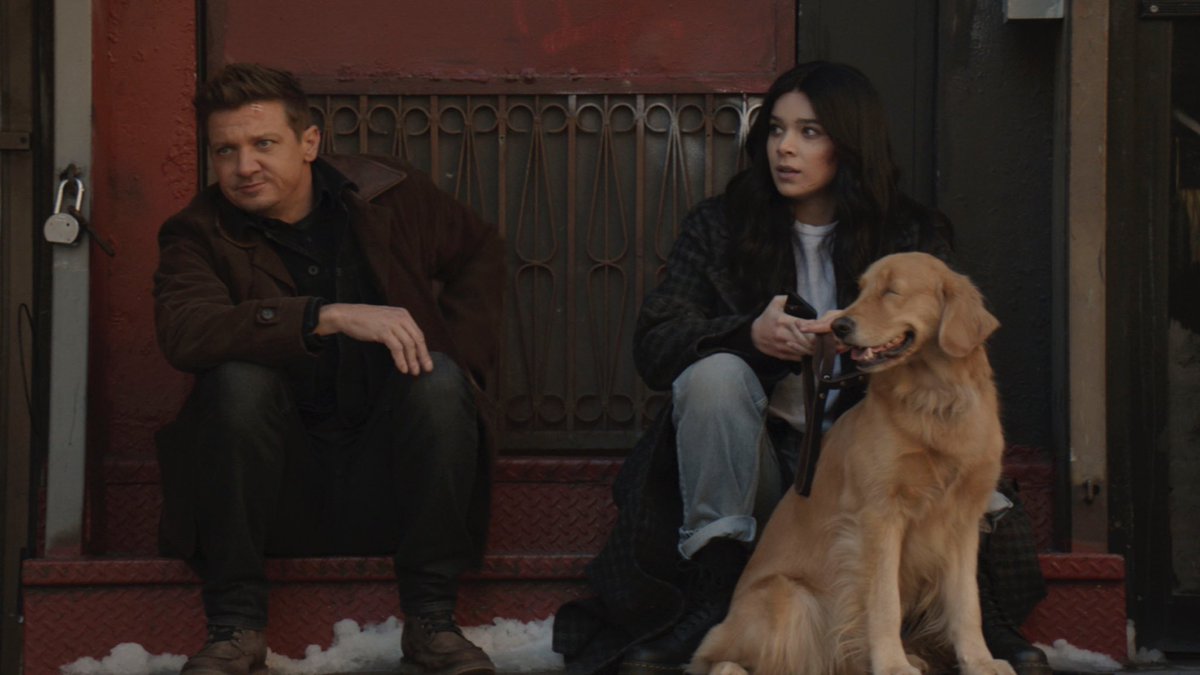 dog_rates's tweet photo. This is Pizza Dog. He’s the very good boy in Marvel Studios’ Hawkeye. Thinks his nickname is fitting but would have also accepted “Pupperoni.” 14/10 would share a slice with #PizzaDog #Hawkeye #ad https://t.co/sI0zLUYwuz