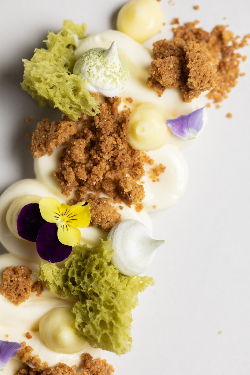 Thoughtful and delicate, our Yuzu-Lemon Cheesecake artfully weaves textures into a stunning visual composition of graham cracker crumble, tangy meringue, and fluffy matcha air cake. A memory of summer, updated for fall.