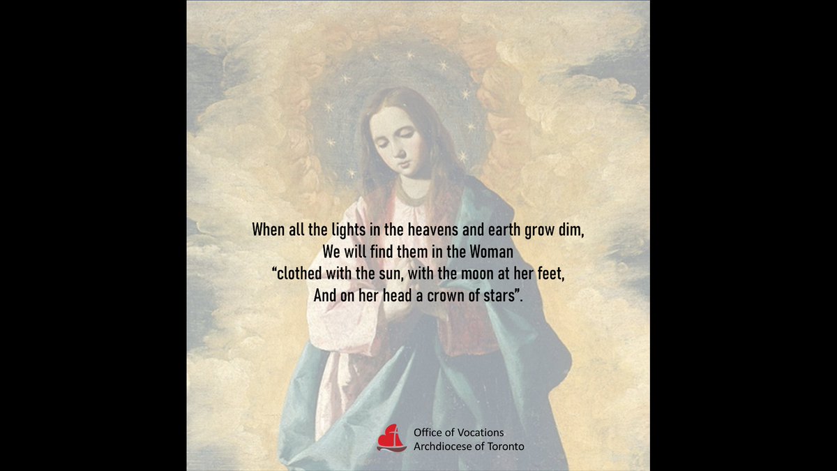 Office of Vocations tweet media