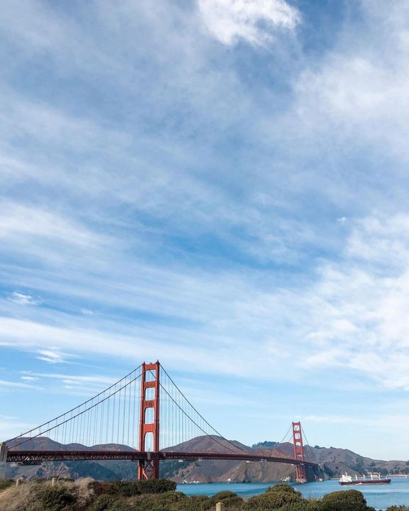 Fusion New Grad tweet media