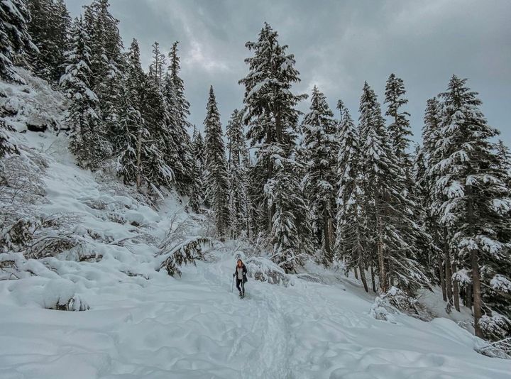 Fusion New Grad tweet media