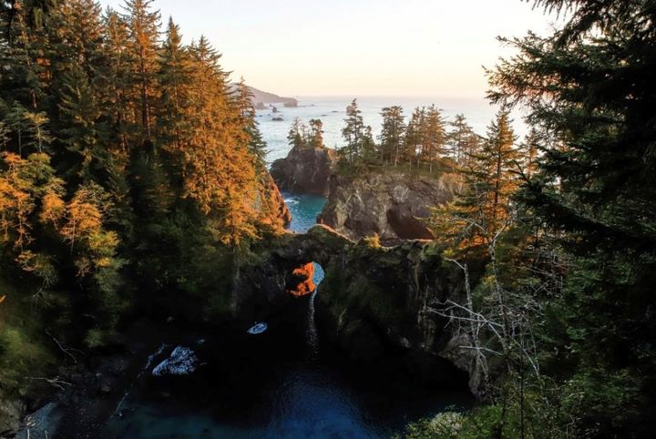 Fusion New Grad tweet media