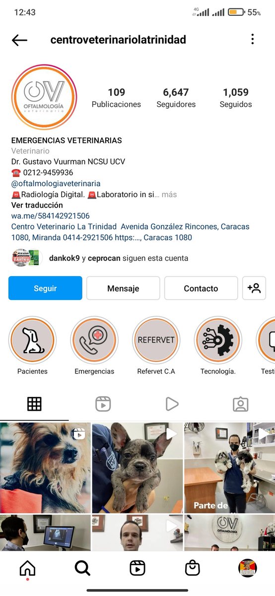 Hola amigos muy agradecidos con todos <a href="/SrtaMaverick/">Srta Maverick 💁🏼‍♀️</a> @RomeoiA7 <a href="/KaddielC/">KADDIEL</a> gracias por ayudarme a llegar a más gente <a href="/FernandoYauCr/">Fernando Yau</a> <a href="/mr_protozoo/">Cristóbal Camus Parada</a> <a href="/KaddielC/">KADDIEL</a> @RomeoiA7 <a href="/Black_VzLv99/">Black🇻🇪</a> gracias x las donaciones
Ese es el sitio al que la llevaré y pueden consultar en Instagram precios.