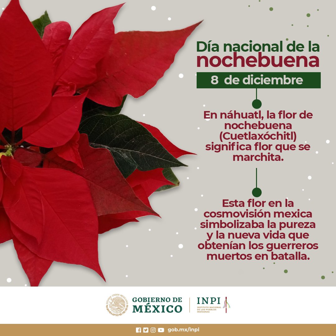Top 48+ imagen día de noche buena Top 48+ imagen día de noche buena
