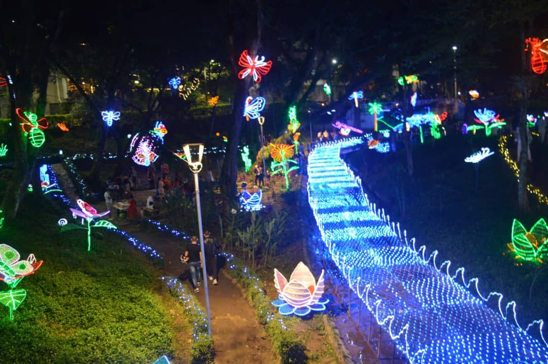 gobertolima's tweet photo. En ibagué ya se vive el ambiente de la navidad gracias al gran alumbrado que encendió la @Alcaldiaibague con más de 3.000 figuras ubicadas en 14 puntos de la ciudad. Los invitamos a disfrutar esta bonita temporada en familia 👩‍👩‍👧‍👦💙 y lejos de la pólvora. @Ricardo_Orozv https://t.co/rQXKV8NrmE