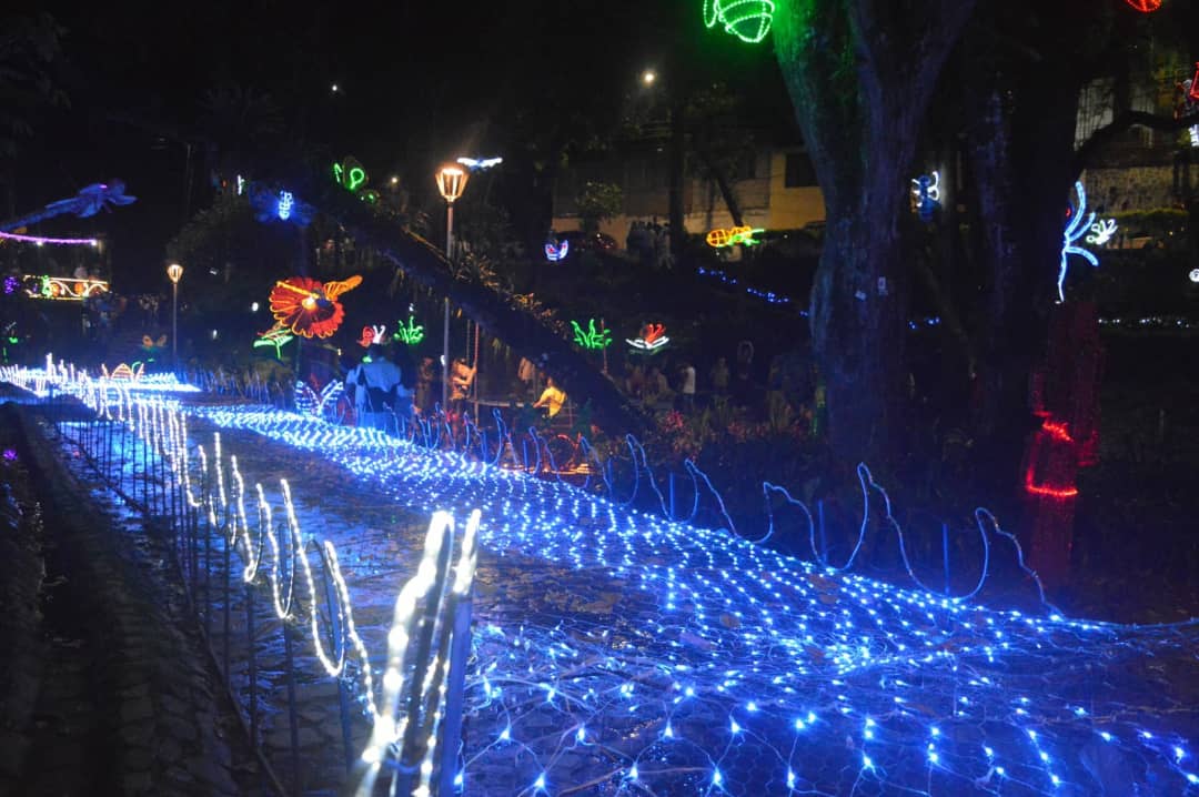 gobertolima's tweet photo. En ibagué ya se vive el ambiente de la navidad gracias al gran alumbrado que encendió la @Alcaldiaibague con más de 3.000 figuras ubicadas en 14 puntos de la ciudad. Los invitamos a disfrutar esta bonita temporada en familia 👩‍👩‍👧‍👦💙 y lejos de la pólvora. @Ricardo_Orozv https://t.co/rQXKV8NrmE
