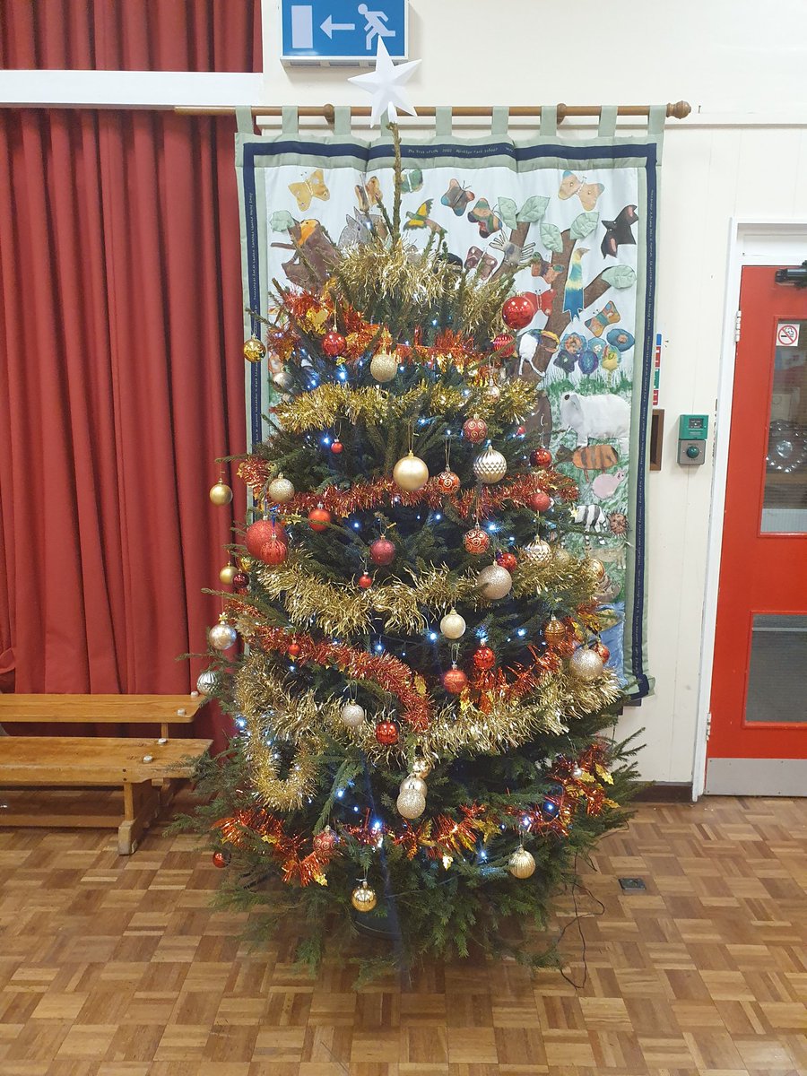 MonktonParkHT's tweet photo. Huge thanks to Fomps for organising our super Christmas tree this year @MonktonParkSch @FompsP https://t.co/Eckxvxwbuj