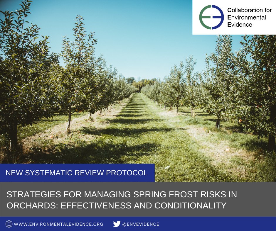 New CEE #SystematicReview protocol proposes to compare the effectiveness of the different measures that target the reduction of yield losses due to spring frost in commercially important temperate fruit tree orchards and vineyards bit.ly/SpringFrostSRP #EvidenceSynthesis