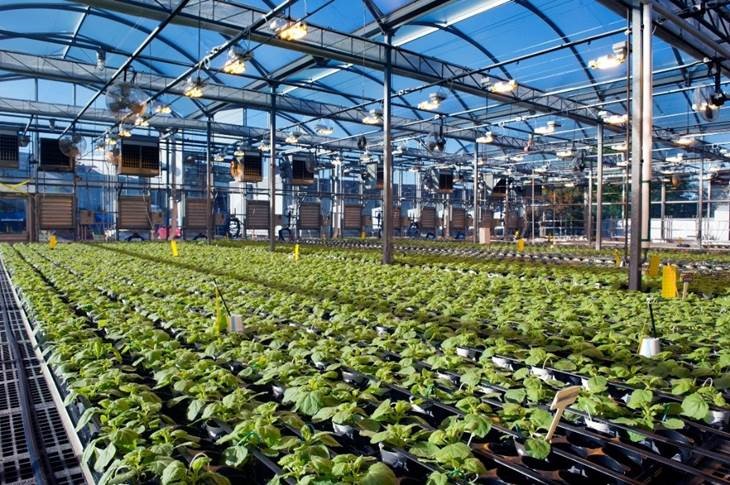 In an exclusive, @medicagoinc previews its blueprint for a booster trial of its Covid-19 vaccine candidate slated for January, <a href="/WillNewton19/">Will Newton</a> reports #Medicago clinicaltrialsarena.com/news/company-n…