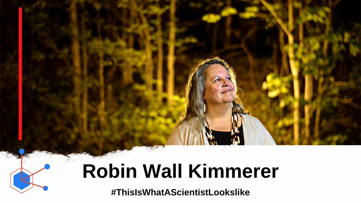 uic_mslc's tweet photo. Read our new diverse scientist! Robin Wall Kimmeter is a scientist, professor, and citizen of the Potawatomi Nation. She's the director and founder of the Center for Natives Peoples and the Environment. #ThisIsWhatAScientistLooksLike #UIC #mslc #IndegineousScience https://t.co/Q2Ll2eLSh5