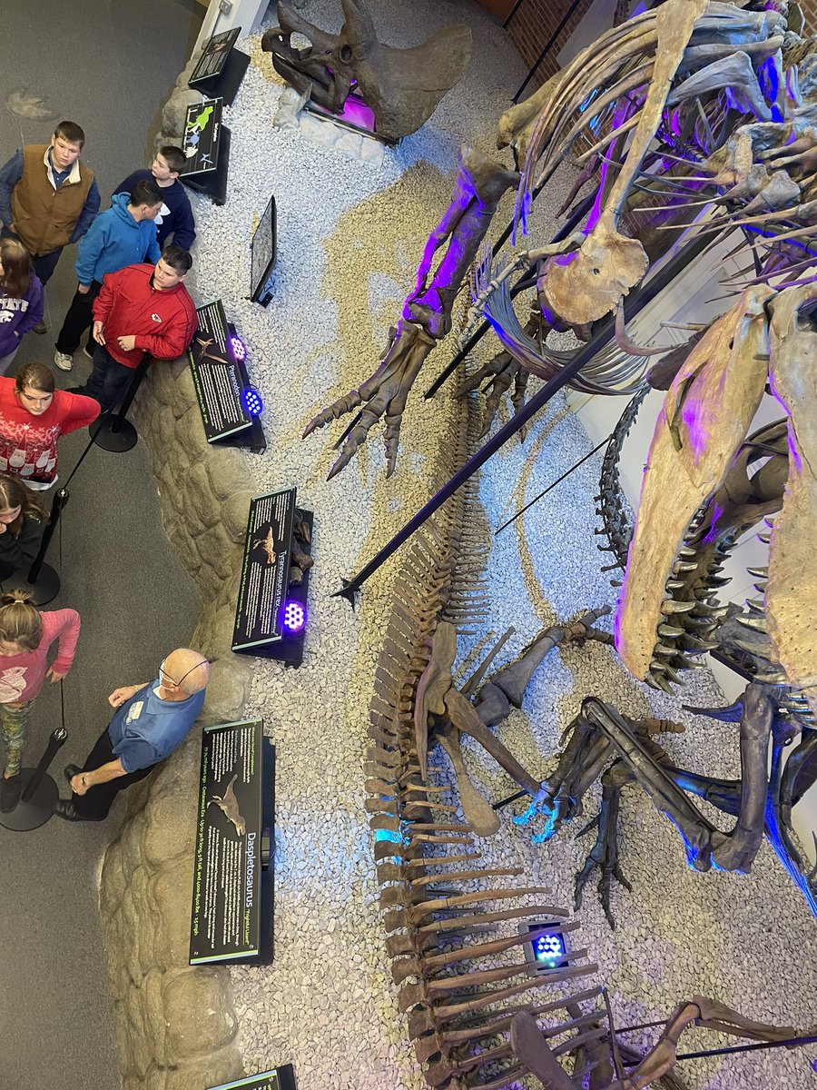 FredoniaLES's tweet photo. Fantastic fossil exhibit 6th grade learning about here at Museum of World Treasures in Wichita! #leshinelc https://t.co/0021hV5MBD