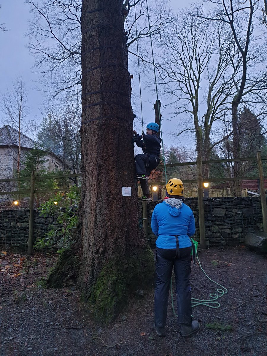 Langdale have had a fun afternoon climbing tress and conquering heights! <a href="/simonsideschool/">Simonside Primary</a> <a href="/HsmithHazel/">MrsHSmith</a> @ThurstonOEC