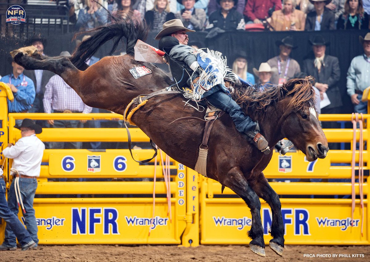 Pro Rodeo Canada tweet media