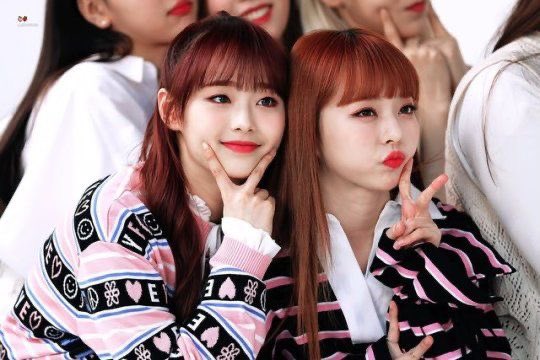 chuusoulthinks's tweet photo. #HappyViviDay #Chuusoul https://t.co/KbuSWig5wk