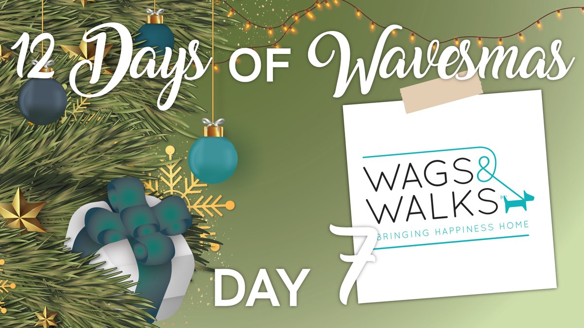 GraziadioSchool's tweet photo. On the seventh day of Wavesmas, Graziadio gave to me, seven Best for the World Gifts for the holiday! 

Gift with purpose this year and read our new #blog here: https://t.co/Je583PfauQ

#12DaysofWavesmas #seventhday #giving #MakingWaves #BestfortheWorldLeaders #sustainablegifts https://t.co/igRBFNS9yp