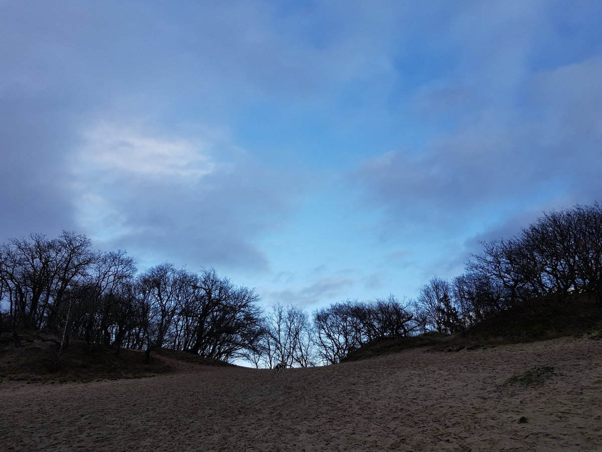 Het was een mooie dag met mooie luchten. Heerlijk weer om met de hond te wandelen!