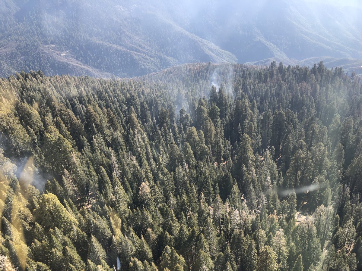 SequoiaKingsNPS's tweet photo. After nearly a month without measurable precipitation, isolated smokes are still visible on east side of the KNP Complex, where it has burned into the wilderness. We're happy to see rain and snow in the forecast for the coming days and hope to report more updates soon! https://t.co/NjSjb8GwxX