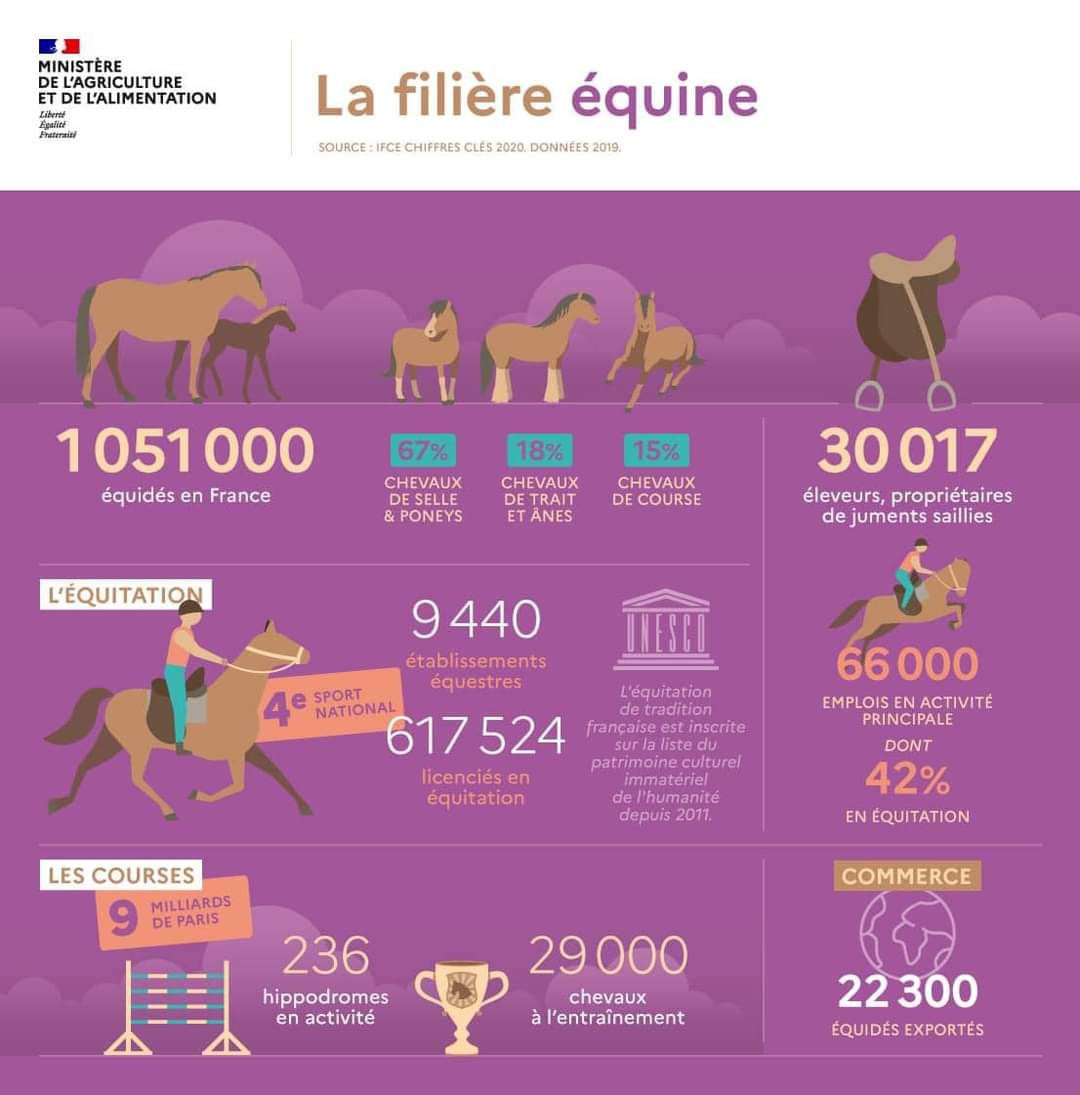phils6750's tweet photo. @Agri_Gouv Vous êtes sérieux ?? Vous avez déjà vu un cheval monté ?? Vous êtes déjà allés sur un hippodrome ?? Le stagiaire de 3eme aurait fait mieux.... https://t.co/KxtKnm6dRE