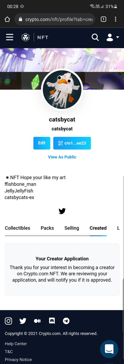 クラゲ 🦑JellyJellyFish▪︎NFT tweet media