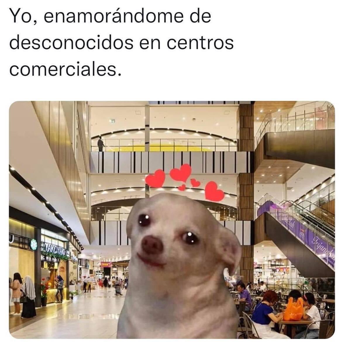 anxiousdemigod's tweet image. Sí soy. 🙃🥲🤣