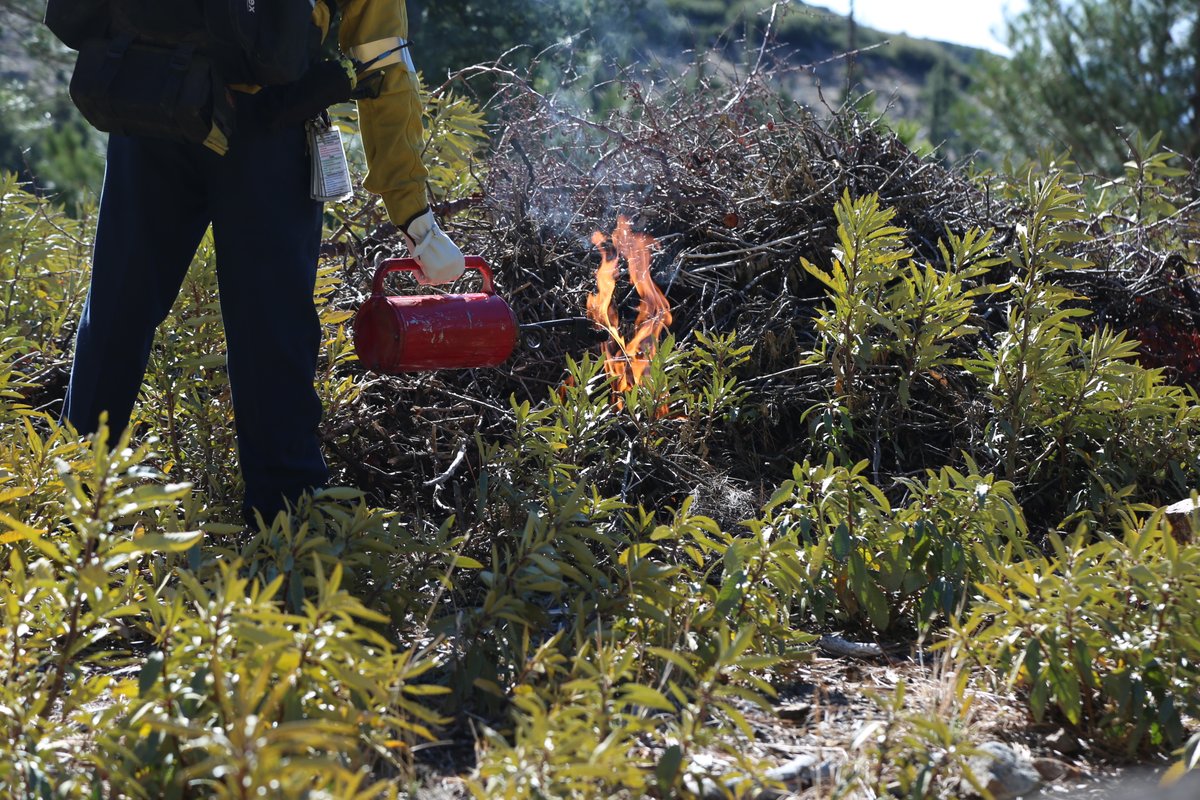 RT @Angeles_NF: |Press Release| Prescribed fire activity on the Angeles National Forest - https://t.co/FO9I0Hvb0p https://t.co/8Nbg554ImA