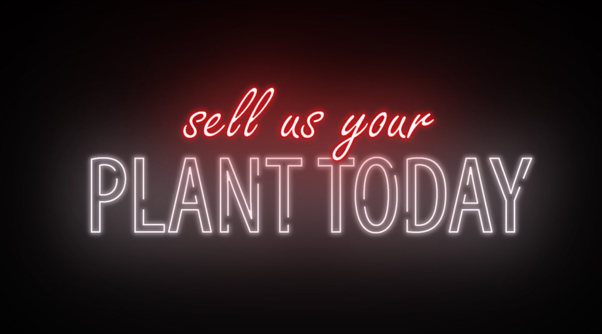 selladigger.com tweet media