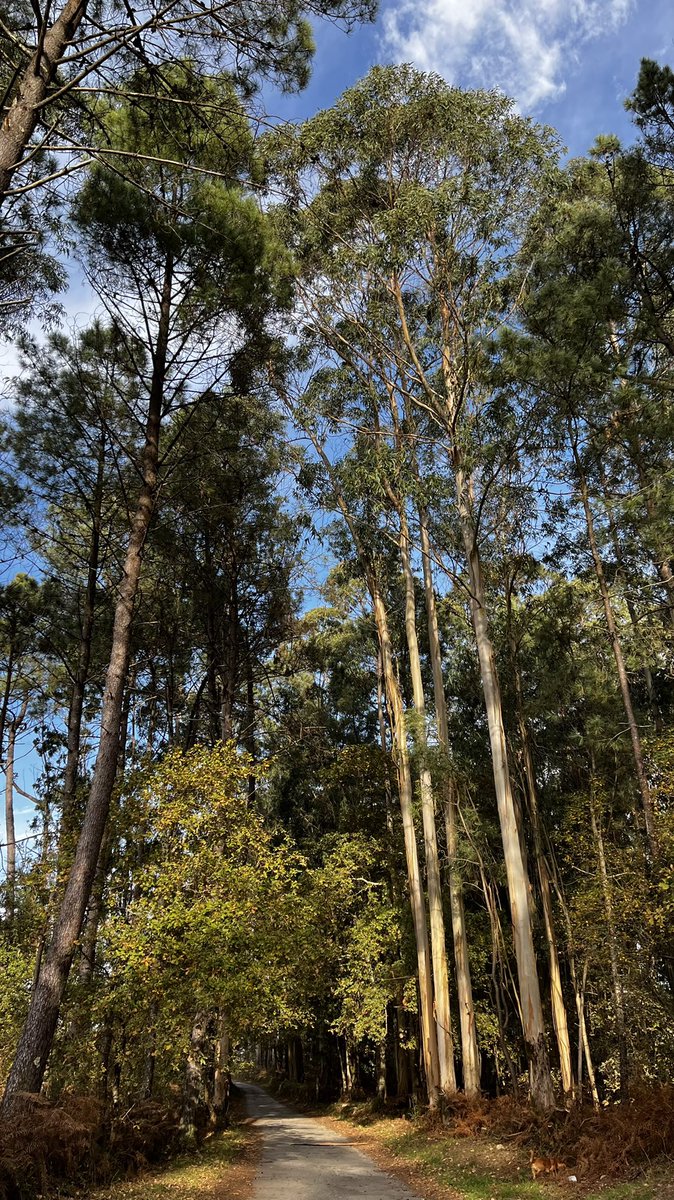 Laura Robertson tweet media