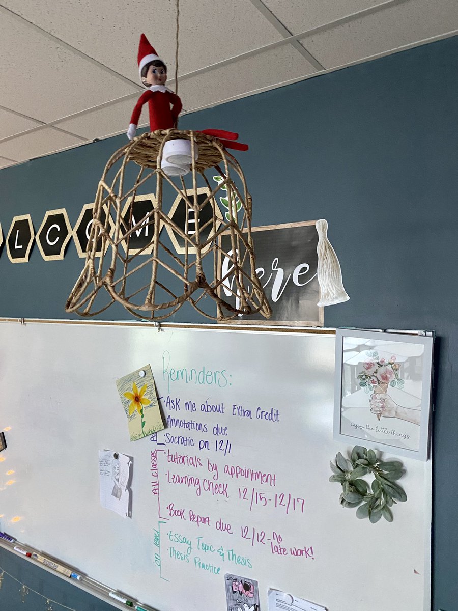 mrsburrow211's tweet photo. Ginger is going on so many adventures in class! She’s shining a light on our Reminders before the end of the semester and keeping an eye on everyone for Santa! 🥰 https://t.co/azGfdRsePQ