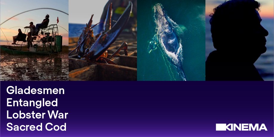 🔦FILMS SPOTLIGHT🔦: We've just added 4 documentaries about climate change and its impact on our oceans: <a href="/Gladesmenfilm/">GLADESMEN</a> <a href="/Entangled_Film/">Entangled Film</a> <a href="/lobsterwar/">LOBSTER WAR</a> and <a href="/SacredCodFilm/">SACRED COD Film</a> - all directed by <a href="/davabel/">David Abel</a>! Read more here: ow.ly/fp7950H5L6H