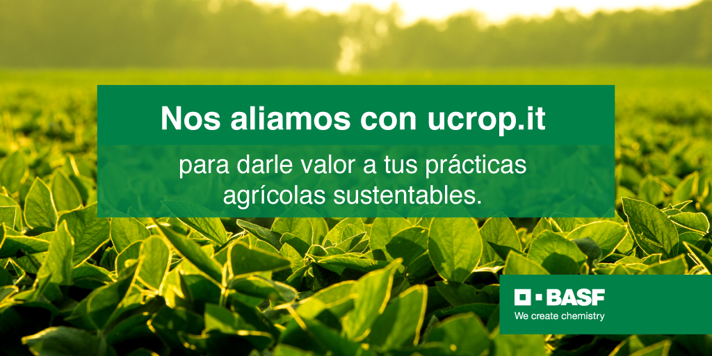 Los productores que siembran nuestras semillas de soja Credenz podrán certificar sin costo adicional su cultivo sustentable en ucrop.it, y recibir premios e incentivos. 
El mundo va en una dirección, la sustentabilidad, y está en nuestras manos unirnos al cambio♻️.