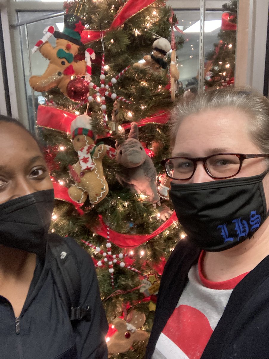 Holiday Armadillo <a href="/LHSintheNews/">LaVergne High School</a>