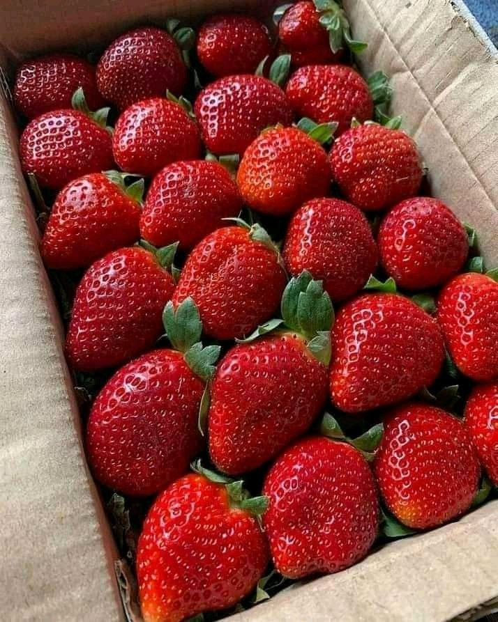 Khan (@khan56785879) on Twitter photo 