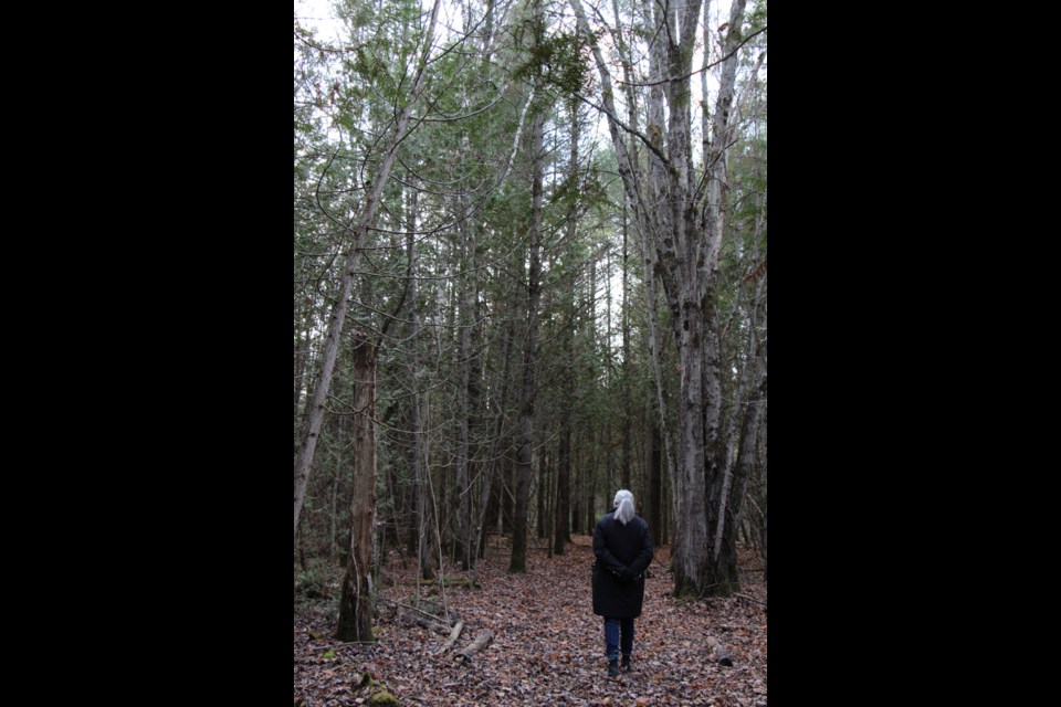 Forest therapy is a way of practicing mindfulness in nature - something we incorporate into all of our BOLD & GOLD adventures! midlandtoday.ca/local-news/for…