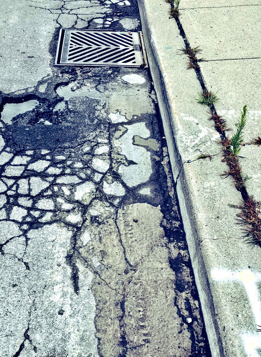 God I wish cyclists just stayed in their bike lane. Their bike lane: