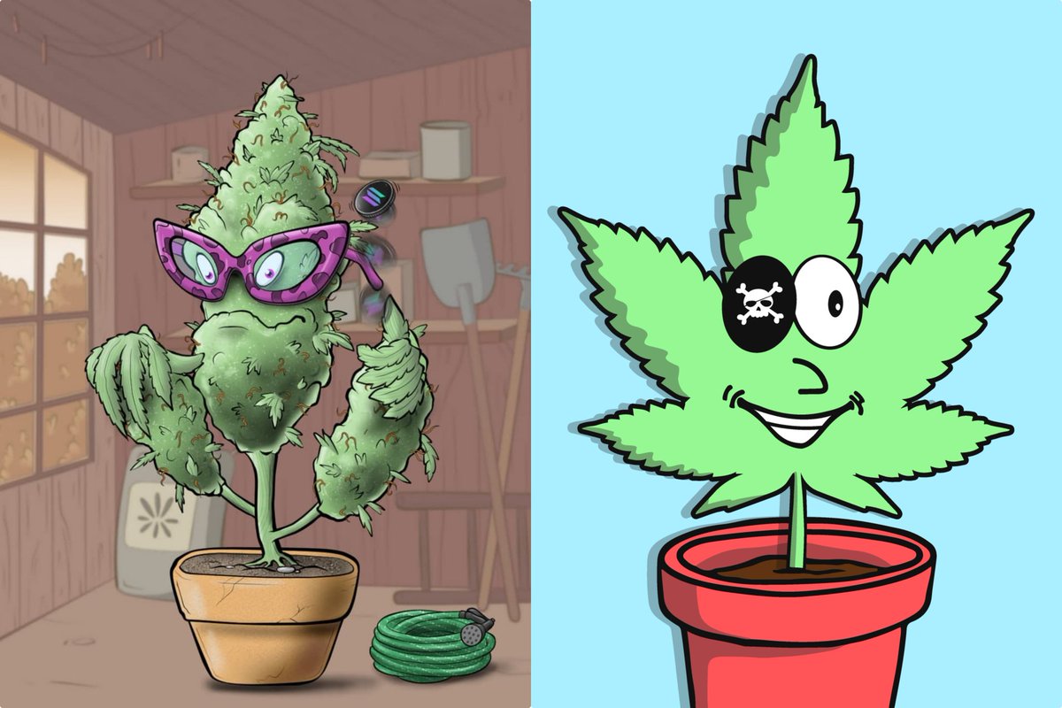 Crypto Weedy tweet media