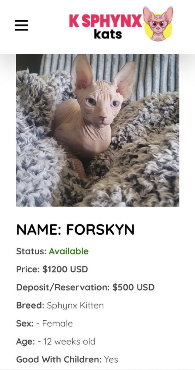 they did her so dirty…