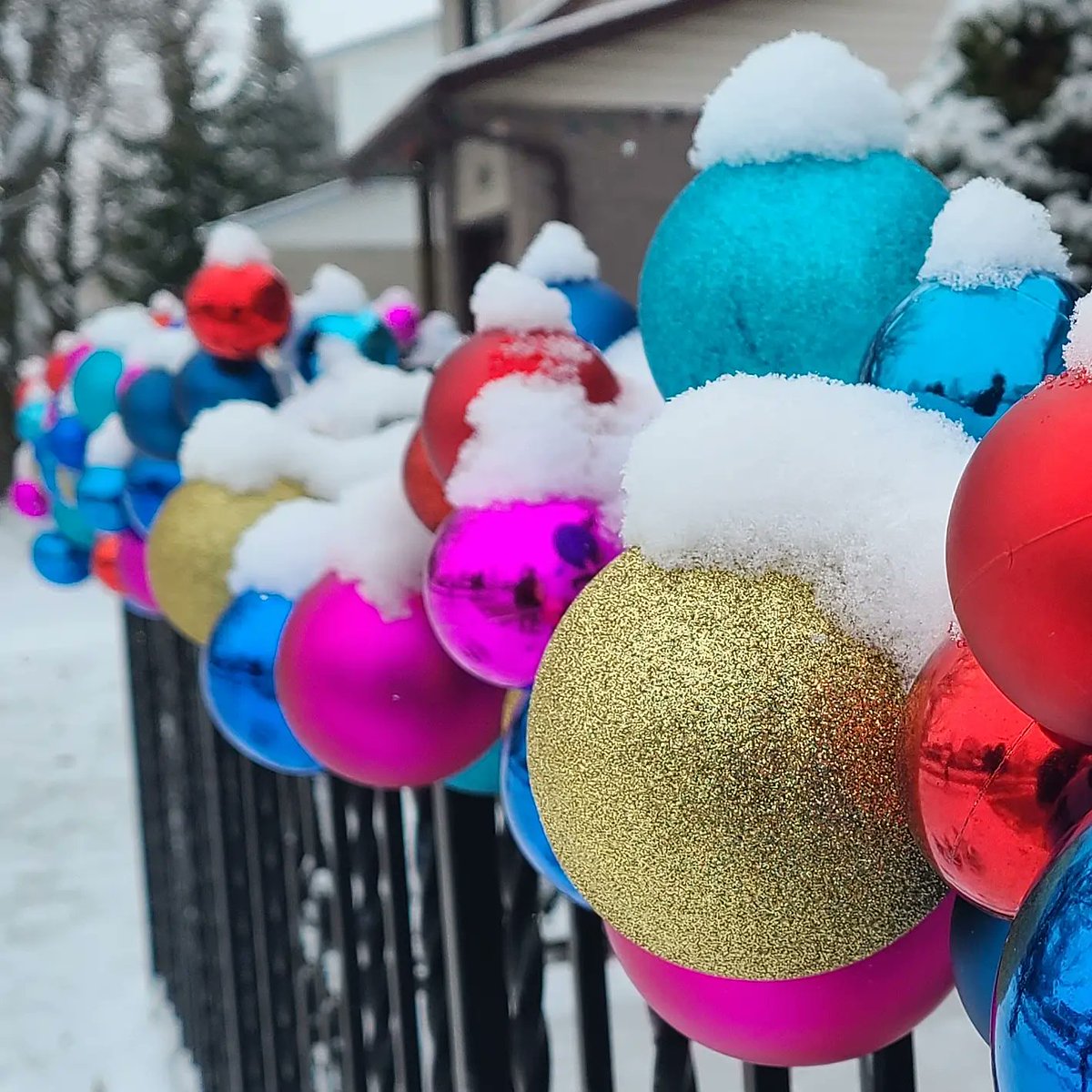 lonejaguar's tweet photo. Went for a walk this morning in the #snow. I was hesitant to take this since it was someone's property, but my wife convinced me the decorations put out a good energy, so on the way home I took it. I liked the caps of snow. #iamprosnow #christmas #winter #red #blue #gold #pink https://t.co/TDQMz9ozWf