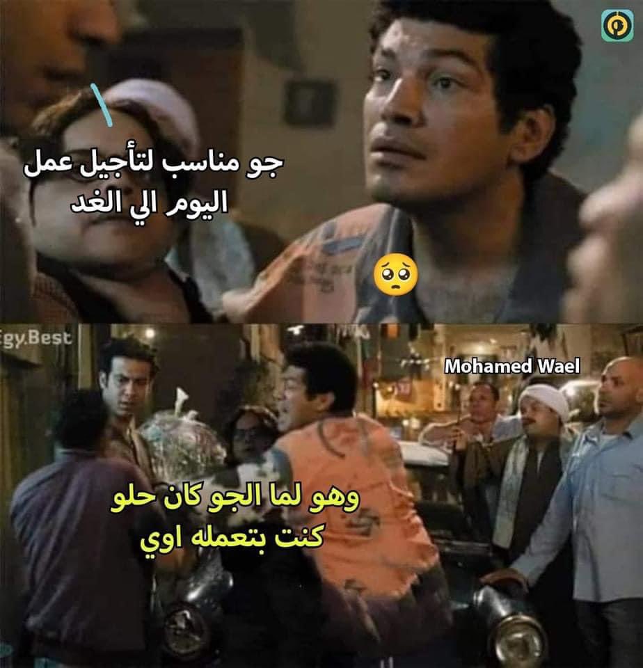 كل يوم صورة معبرة (@memesoficiial) on Twitter photo 