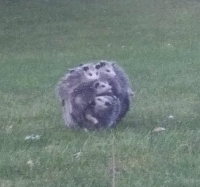 Pondering the orb