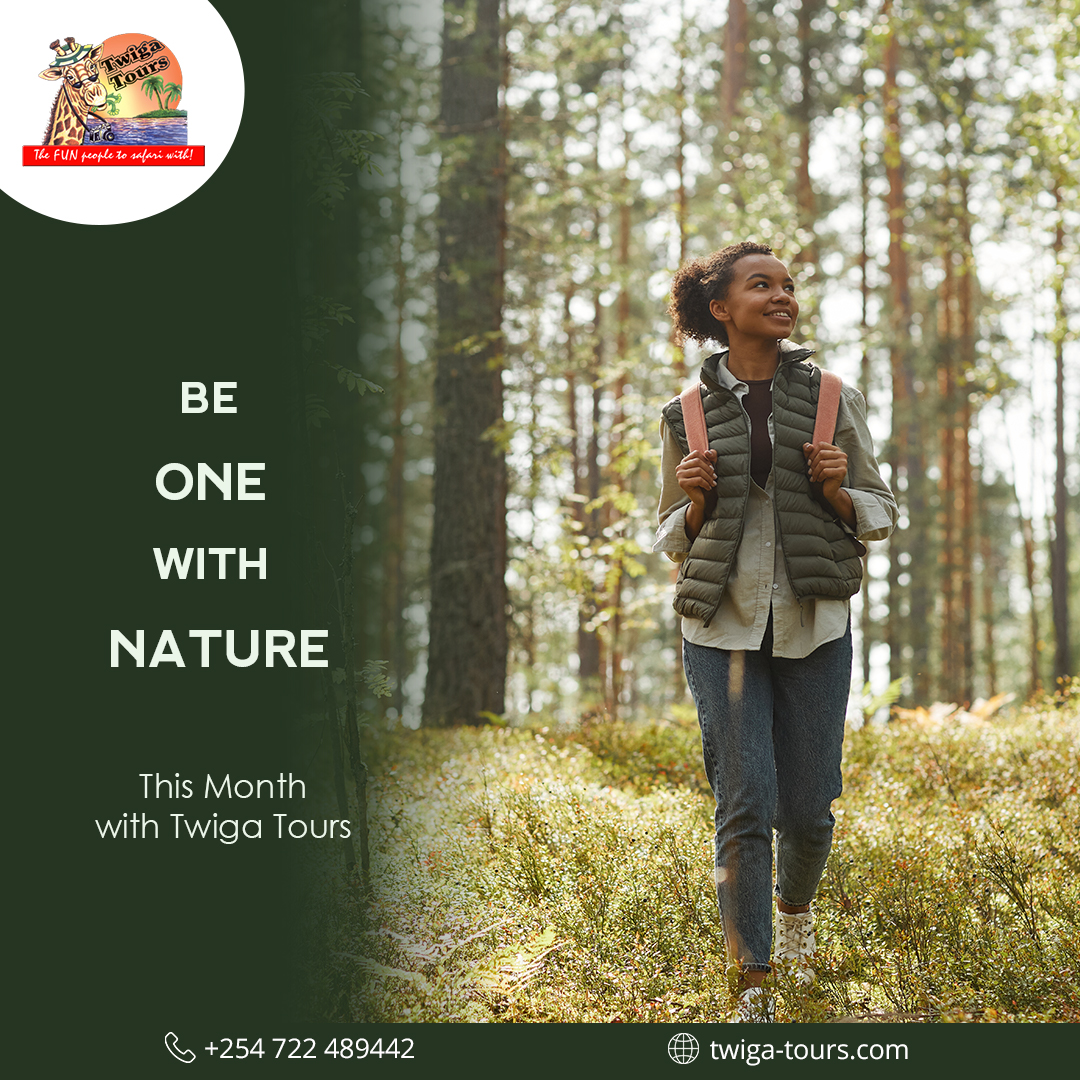 twigatours's tweet photo. Looking to spend some time outdoors?
We have a variety of outdoor tours you can take.

📞 or 💬 0722 489442
Visit us on 📍Suite 09, The Greenhouse, Ngong Rd Nairobi, Kenya 00606
🕸️ https://t.co/XZ3QWVQ2MR https://t.co/UHMqlwn5hG