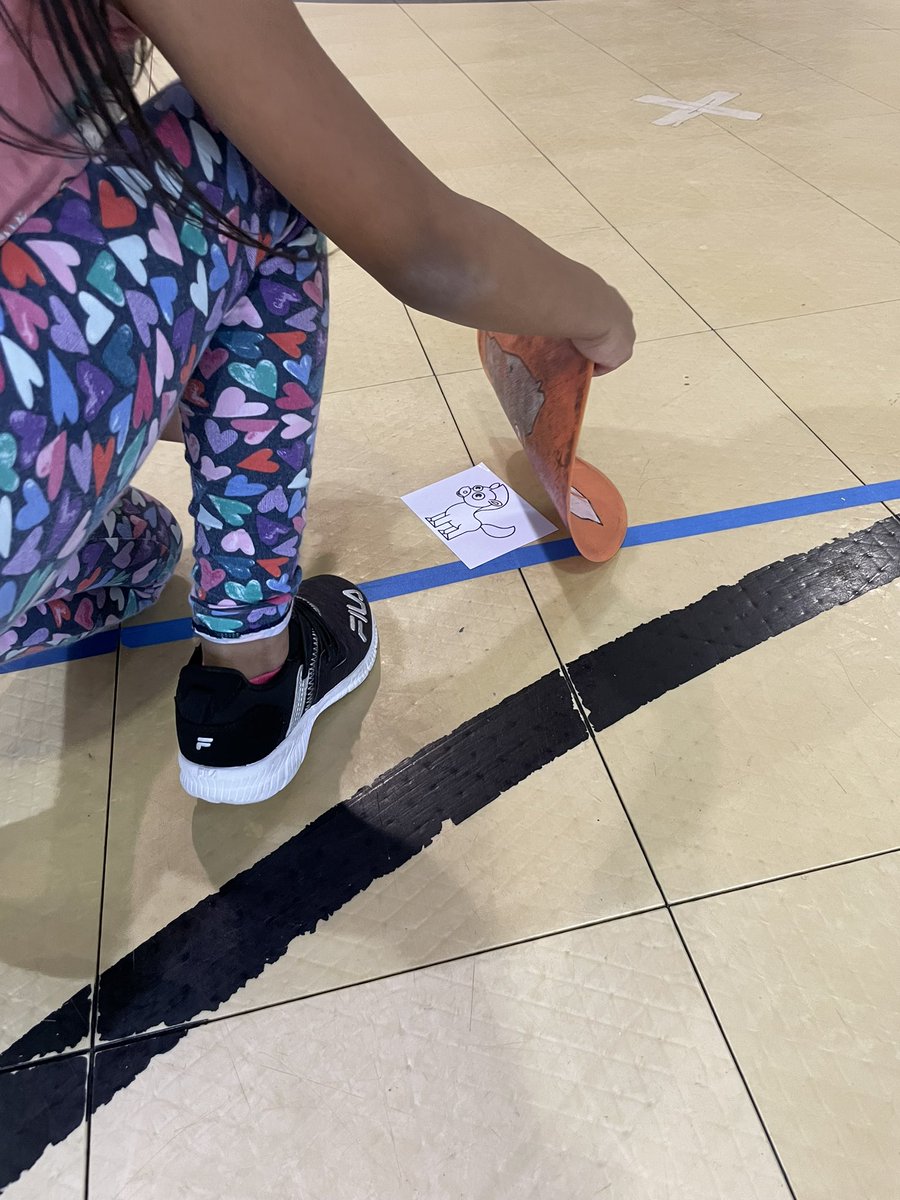 MabletonPE's tweet photo. 1st grade students @MabletonES working on searching for animals and pairing them with their shadows while getting in a great cardio workout! @cobbhpe @STEMcobb @CobbSchools @TeamGrizzle2006 #Science https://t.co/ogVYgiU0qn
